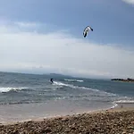 Farosardo